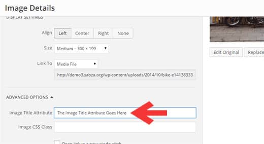 This will bring up the image edit popup screen where you need to click on the Advanced Options. This will display the option to add image title attribute.