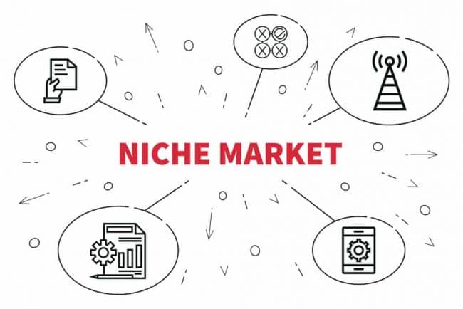 6 Steps for Defining Your Niche Market - Theme Circle