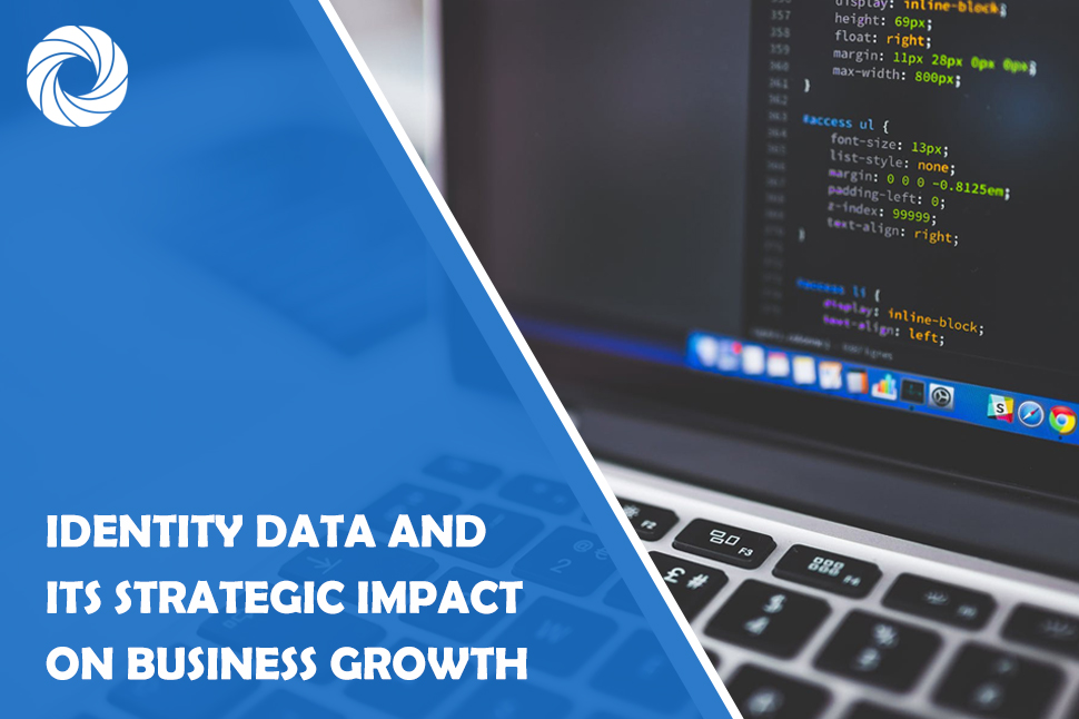 Identity Data and Its Strategic Impact on Business Growth